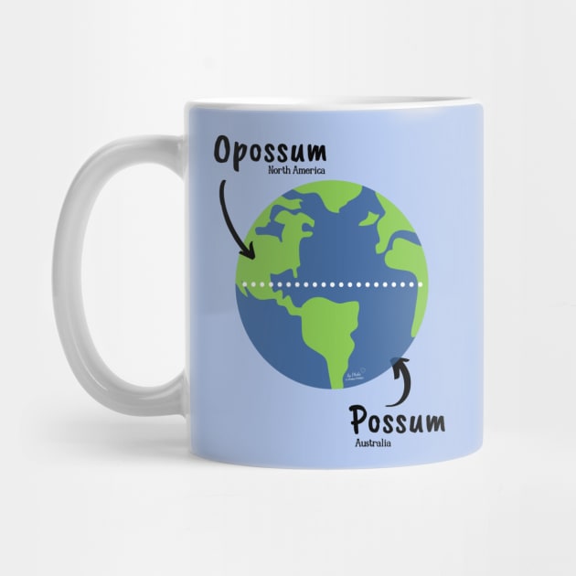 Opossum / Possum by Phebe Phillips